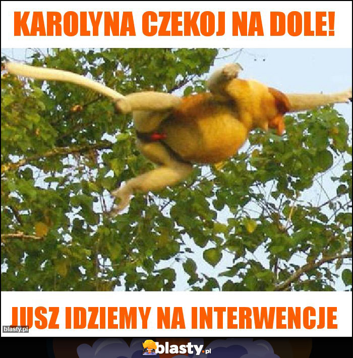 Karolyna czekoj na dole!