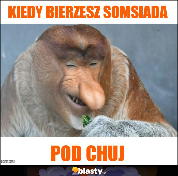 Kiedy bierzesz somsiada