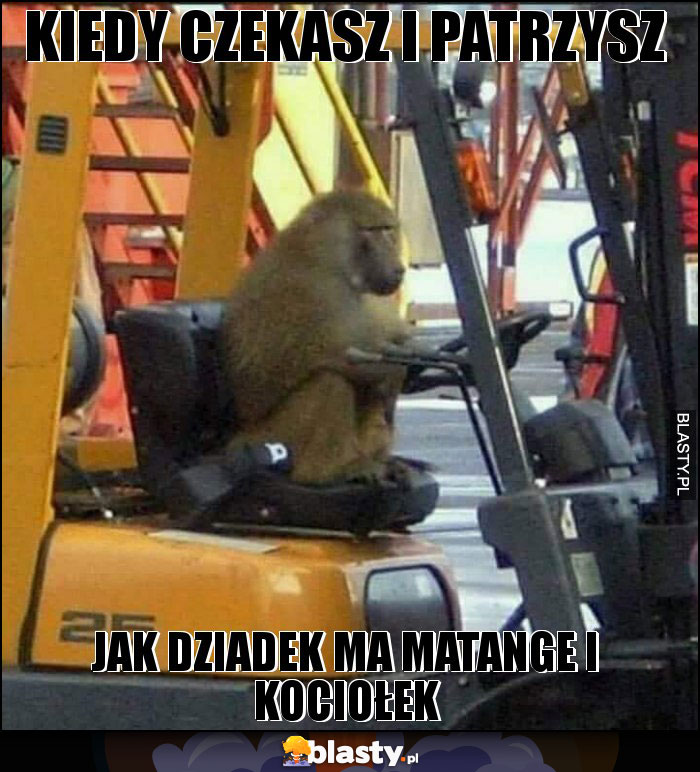 Kiedy czekasz i patrzysz