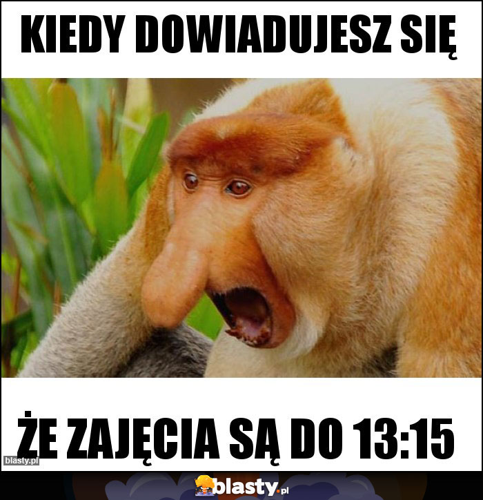 Kiedy dowiadujesz się