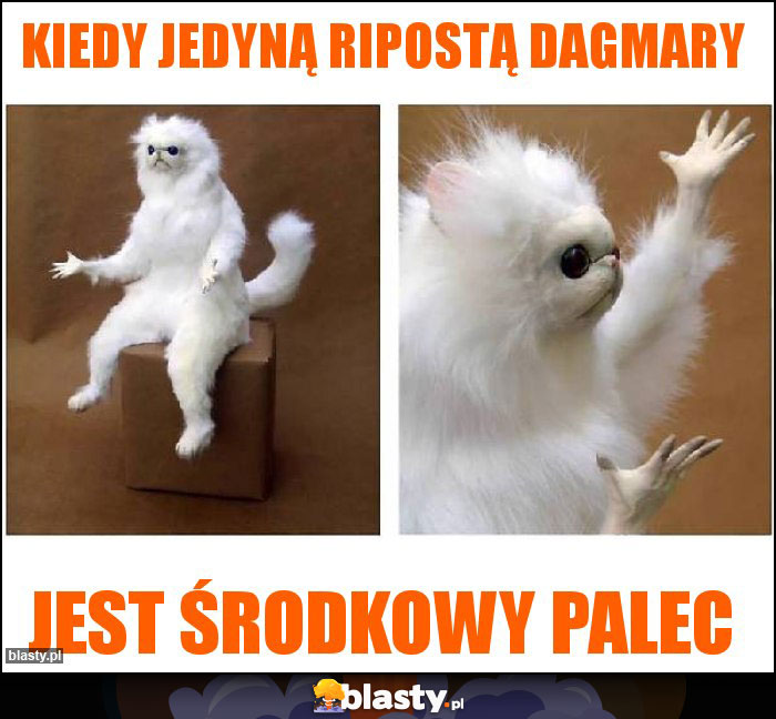 Kiedy jedyną ripostą Dagmary