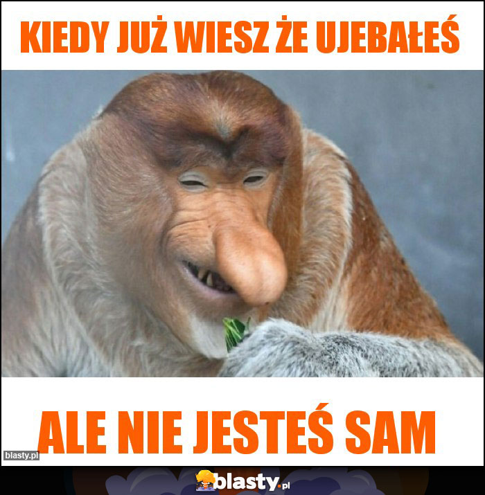 Kiedy już wiesz że ujebałeś
