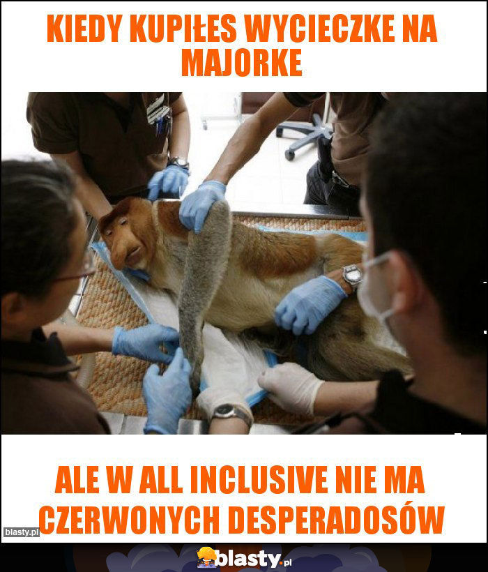 Kiedy kupiłes wycieczke na majorke