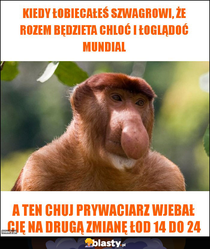 KIEDY ŁOBIECAŁEŚ SZWAGROWI, ŻE ROZEM BĘDZIETA CHLOĆ I ŁOGLĄDOĆ MUNDIAL