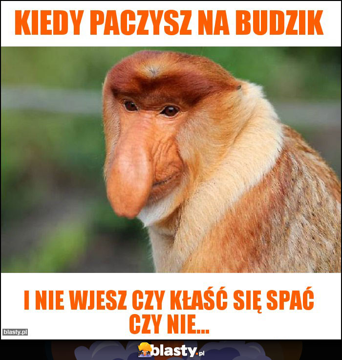 Kiedy paczysz na budzik