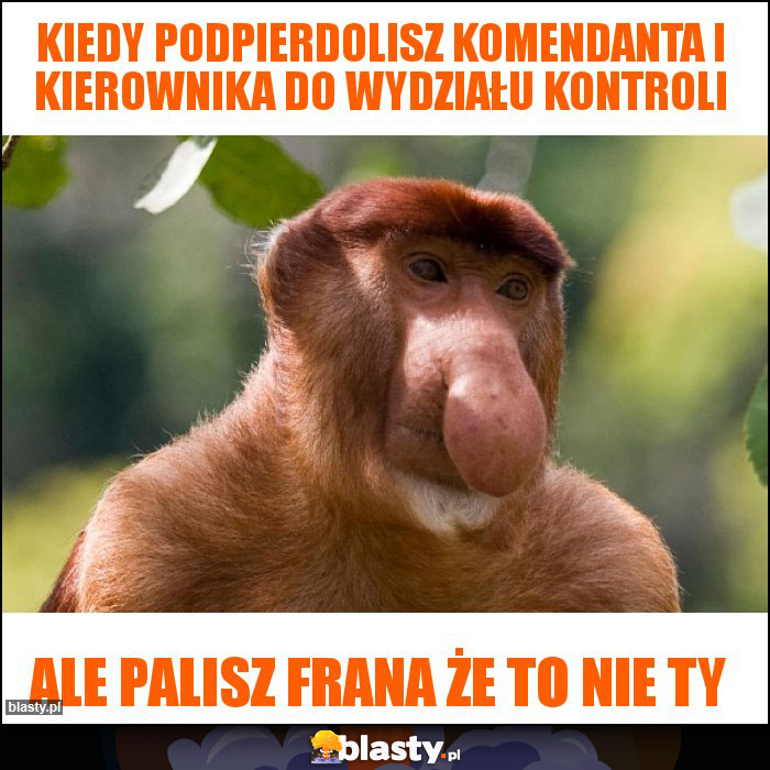 Kiedy podpierdolisz komendanta i kierownika do wydziału kontroli