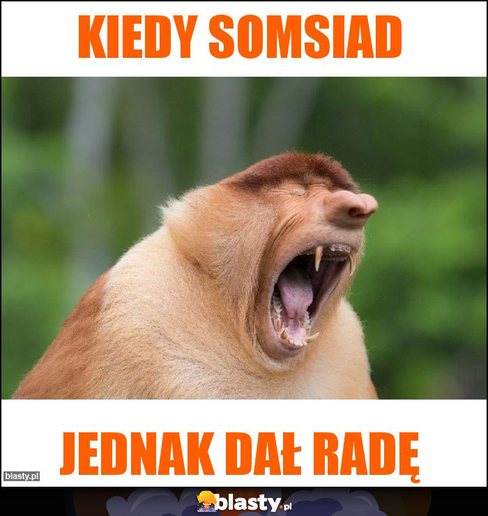 KIEDY SOMSIAD