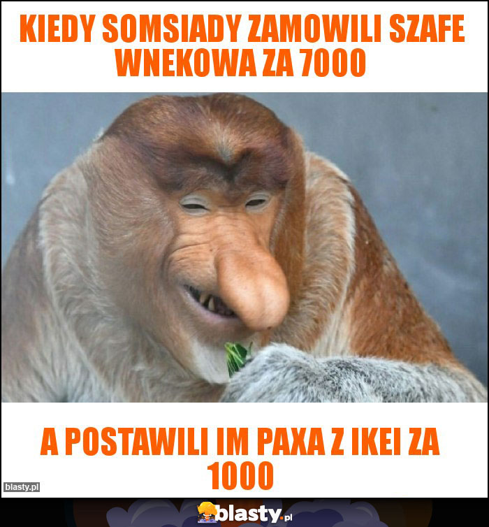 Kiedy somsiady zamowili szafe wnekowa za 7000
