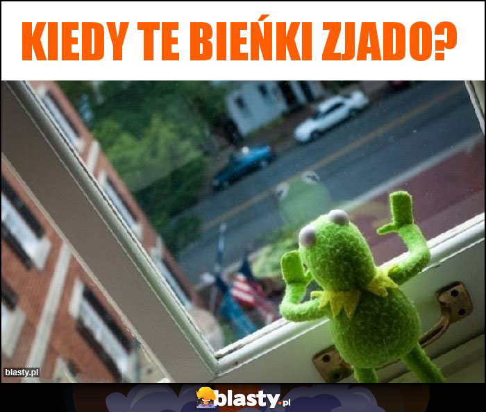 Kiedy te Bieńki zjado?