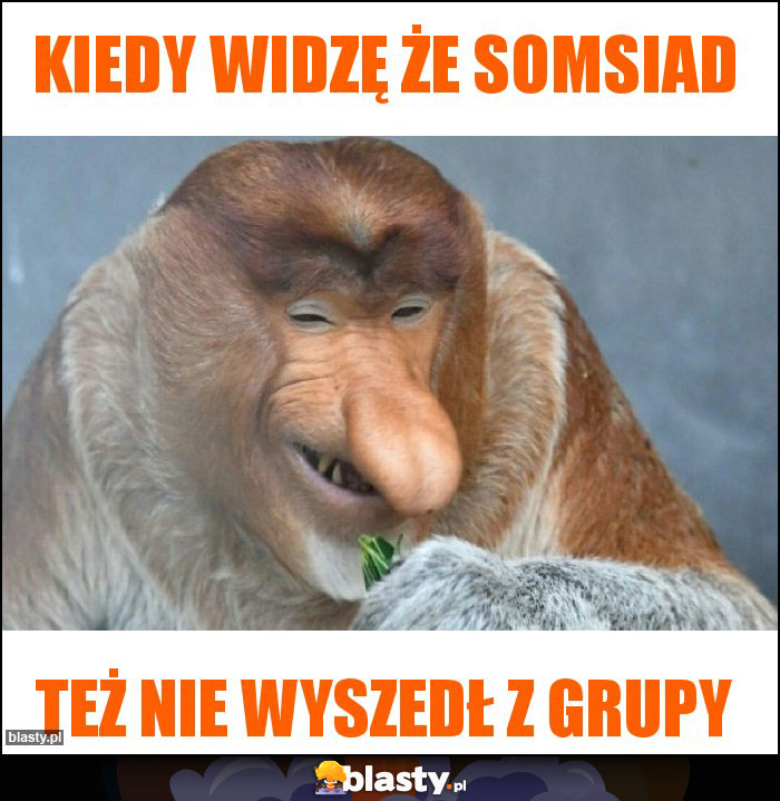 Kiedy widzę że somsiad