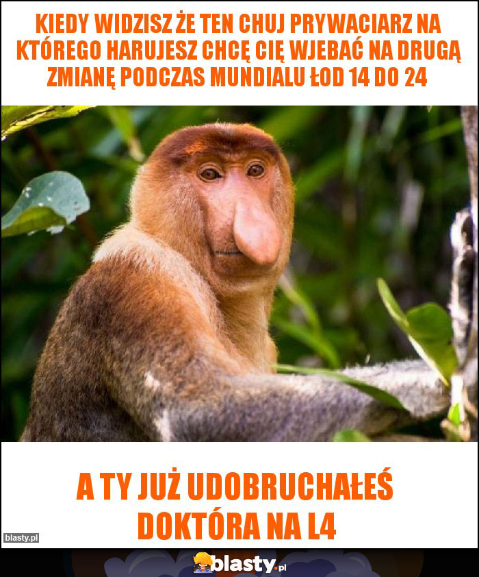 KIEDY WIDZISZ ŻE TEN CHUJ PRYWACIARZ NA KTÓREGO HARUJESZ CHCĘ CIĘ WJEBAĆ NA DRUGĄ ZMIANĘ PODCZAS MUNDIALU ŁOD 14 do 24