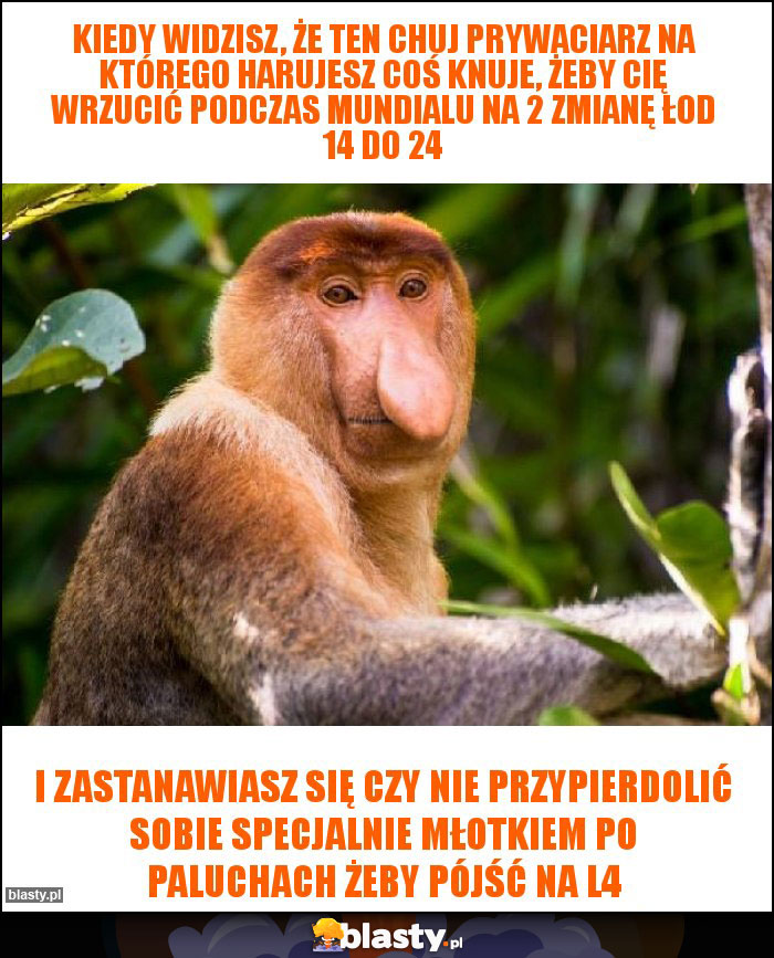 KIEDY WIDZISZ, ŻE TEN CHUJ PRYWACIARZ NA KTÓREGO HARUJESZ COŚ KNUJE, ŻEBY CIĘ WRZUCIĆ PODCZAS MUNDIALU NA 2 ZMIANĘ ŁOD 14 do 24