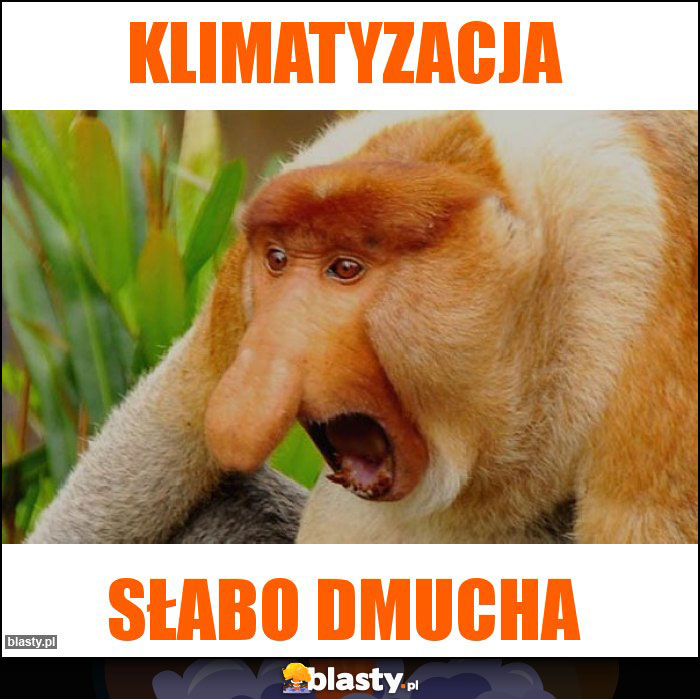 klimatyzacja