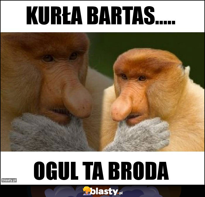 kurła Bartas.....