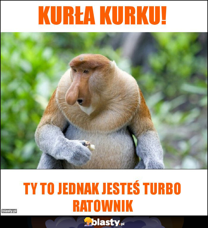 Kurła Kurku!