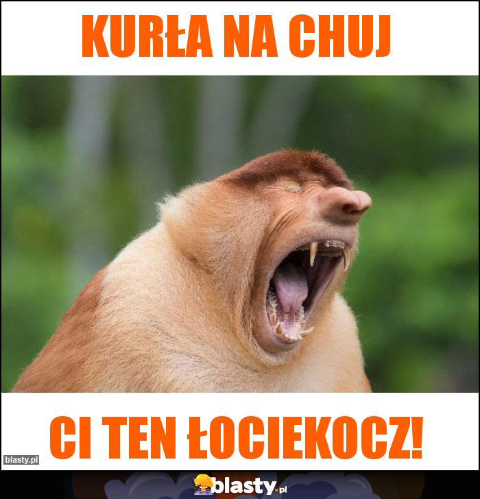 Kurła na chuj