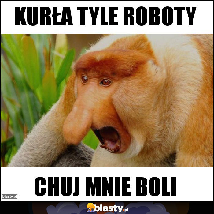 Kurła tyle roboty