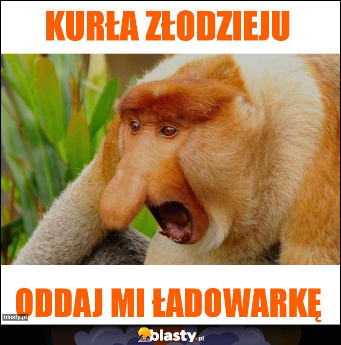 Kurła Złodzieju
