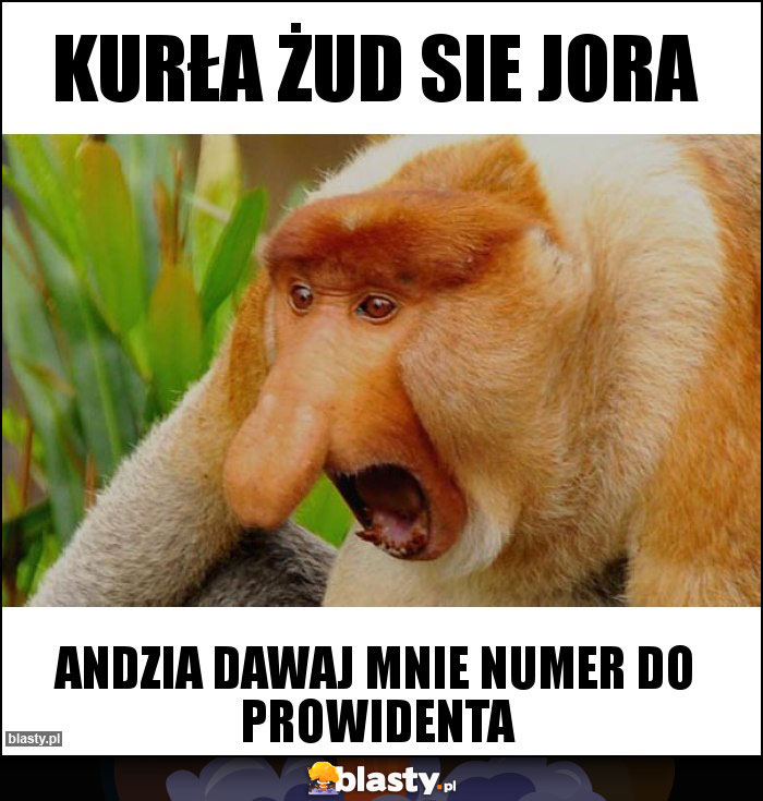 Kurła żud sie jora