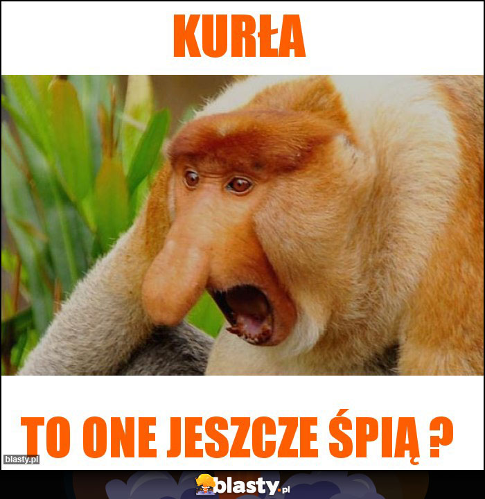 Kurła