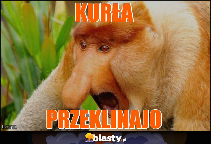 KURŁA