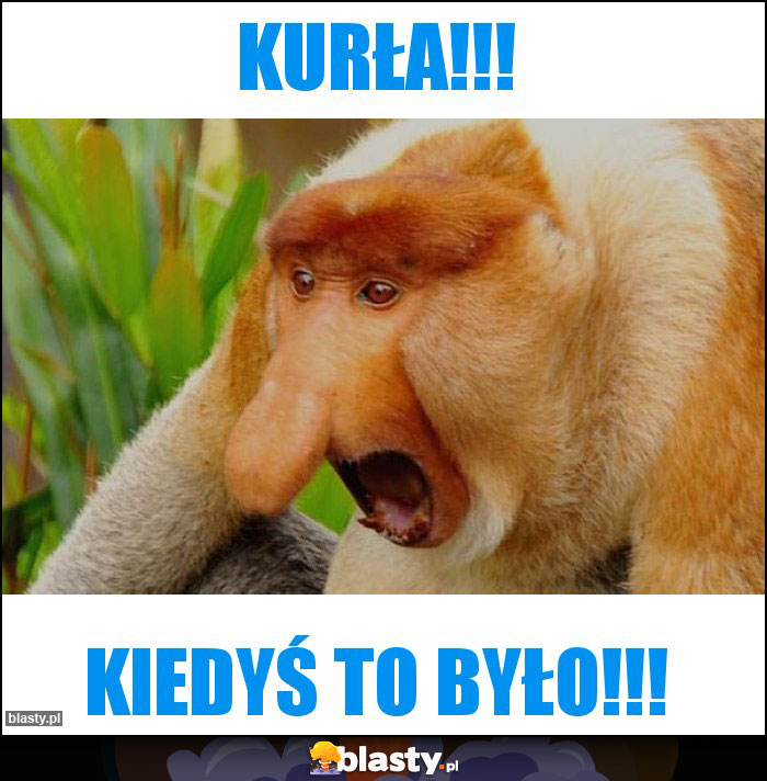 kurła!!!