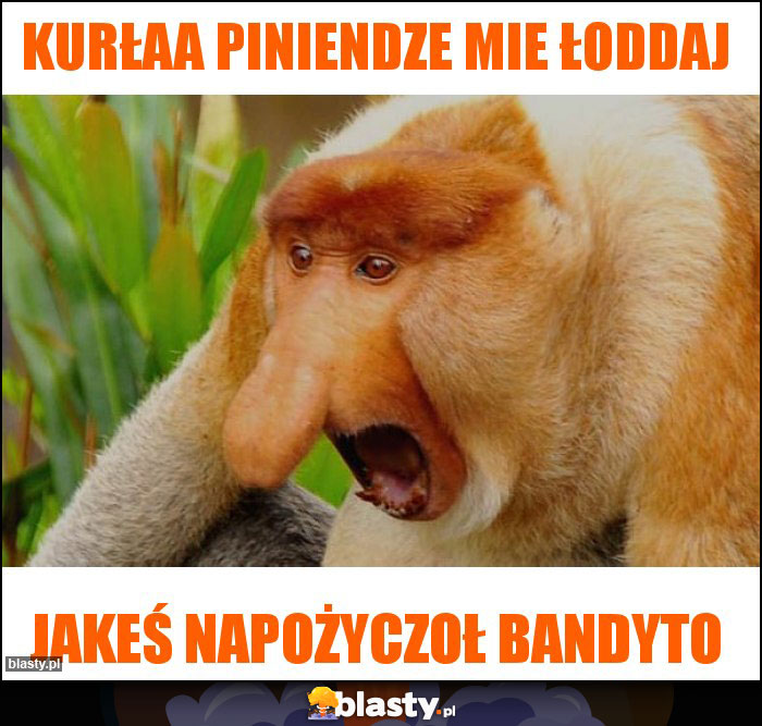Kurłaa piniendze mie łoddaj