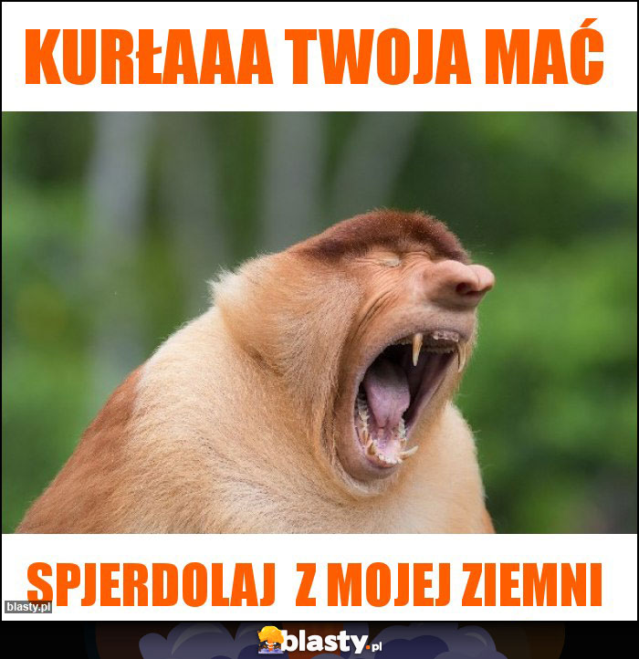 Kurłaaa Twoja Mać