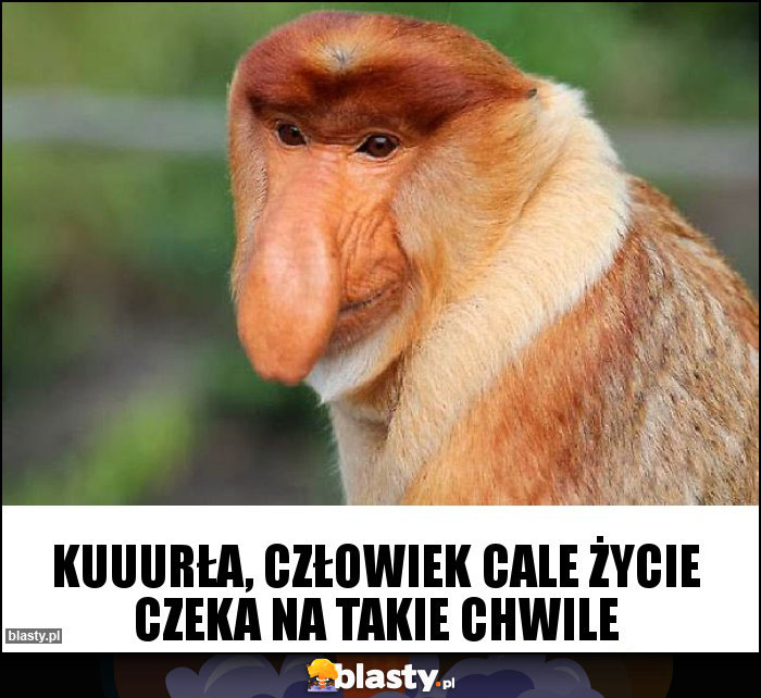 Kuuurła, człowiek cale życie czeka na takie chwile