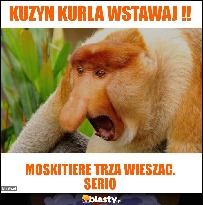 Kuzyn kurla wstawaj !!