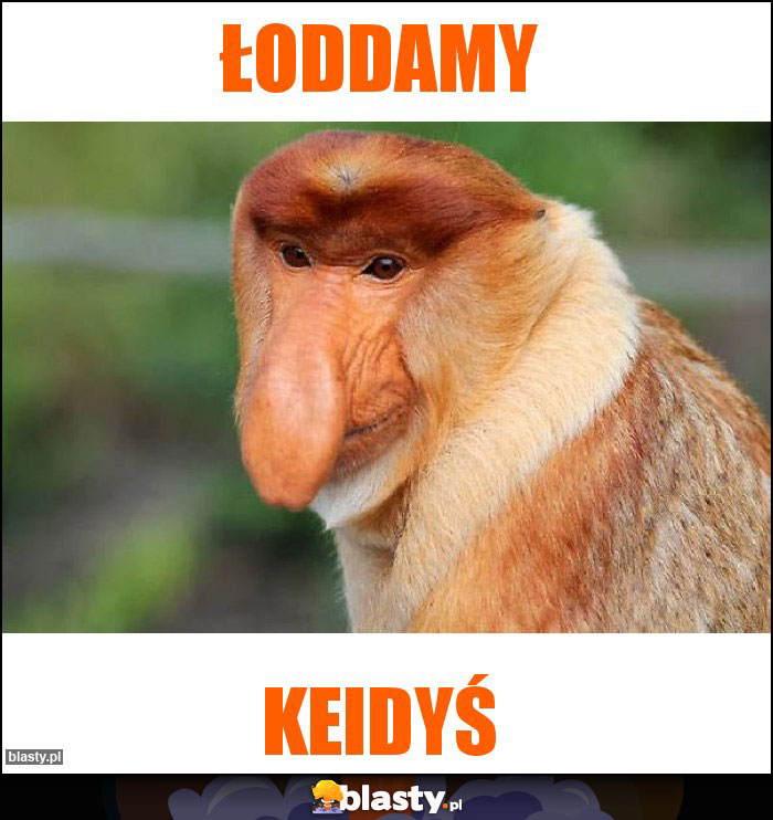 Łoddamy