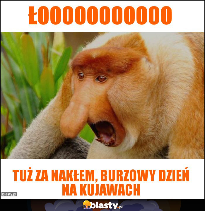 Łooooooooooo