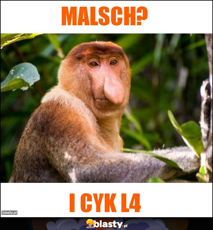 Malsch?