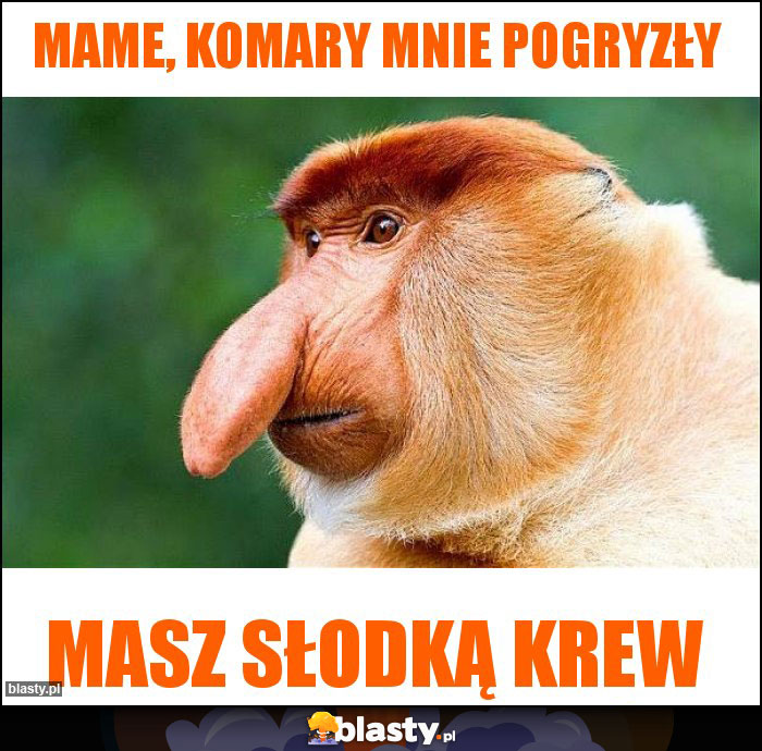 Mame, komary mnie pogryzły