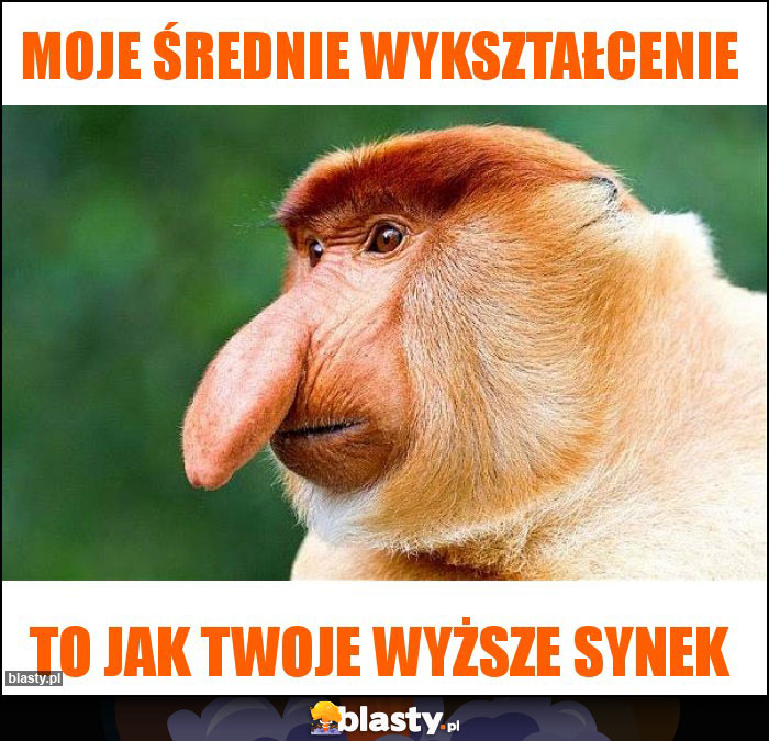 Moje średnie wykształcenie