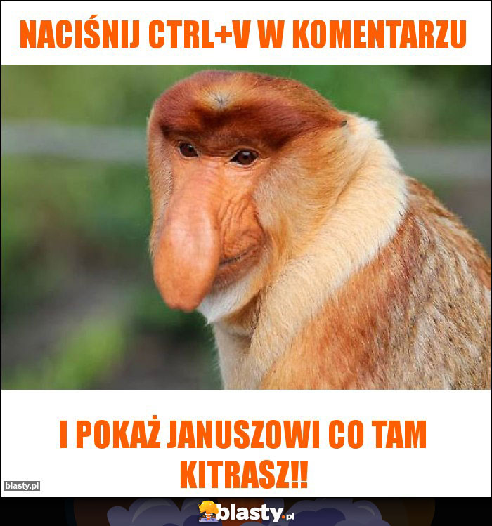 Naciśnij CTRL+V w komentarzu