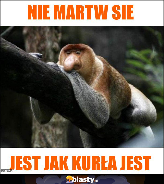 Nie martw sie