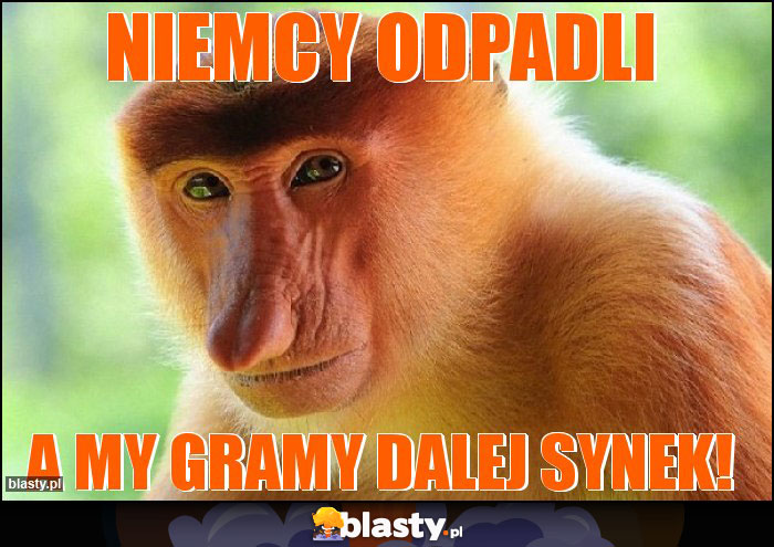 Niemcy odpadli