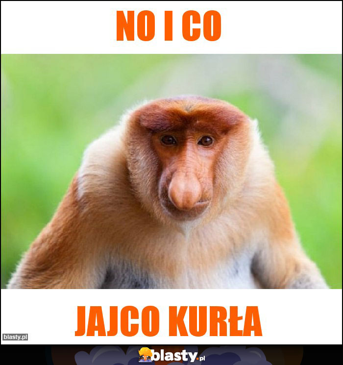 NO I CO