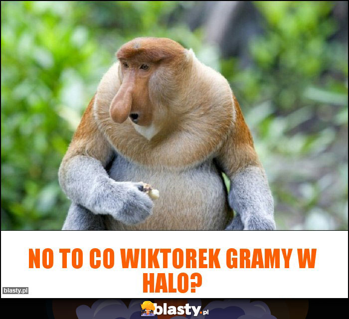 No to co Wiktorek Gramy w Halo?