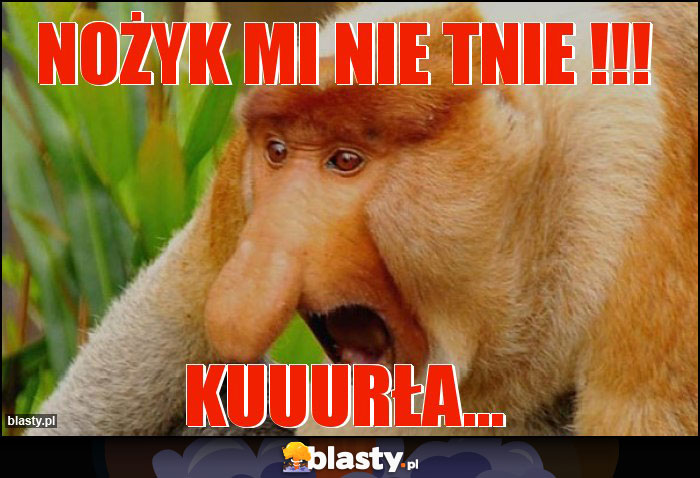 Nożyk mi nie tnie !!!