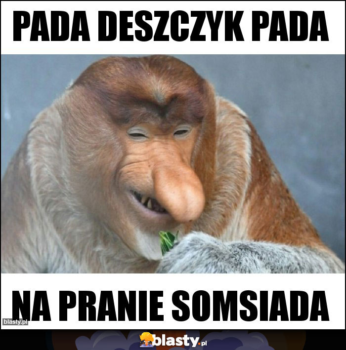 Pada deszczyk pada