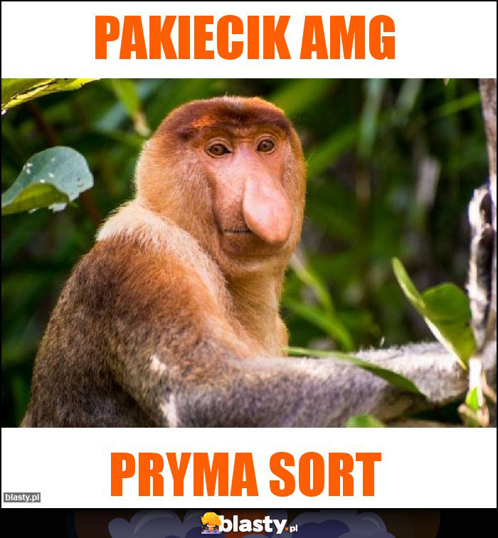 PAKIECIK AMG