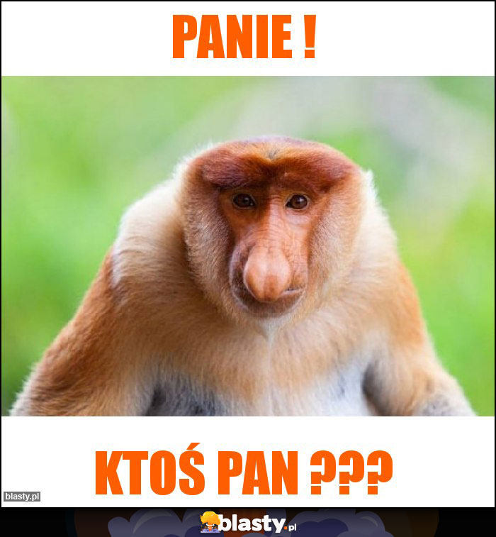 Panie !
