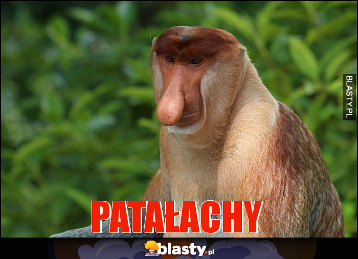 Patałachy