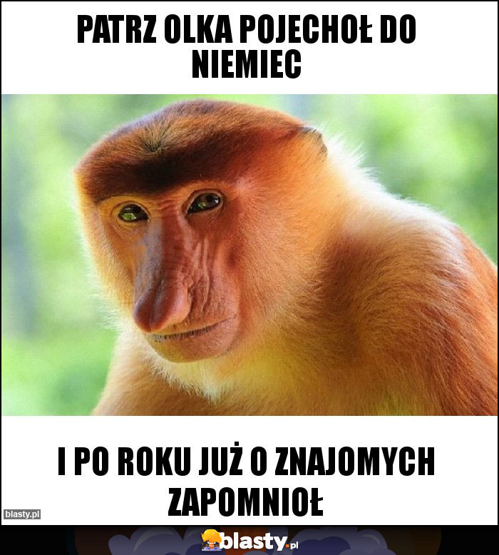 patrz olka pojechoł do niemiec