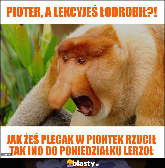 pioter, a lekcyjeś łodrobił?!