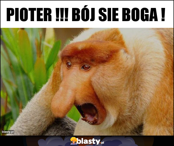 Pioter !!! Bój sie boga !