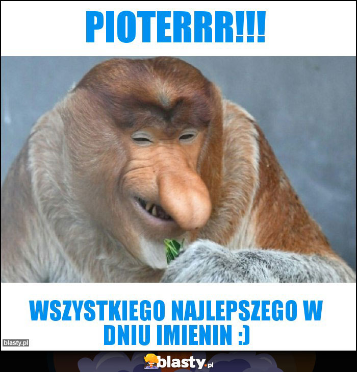 Pioterrr!!!
