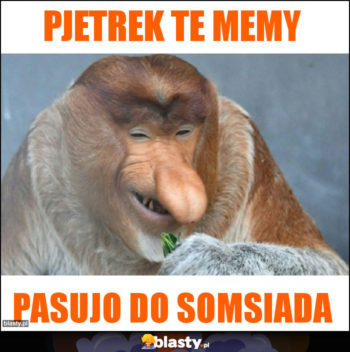 Pjetrek Te mEmy